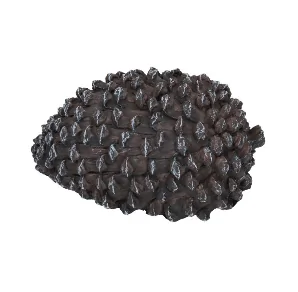 Schowek Szyszka 11,5x5,5 cm