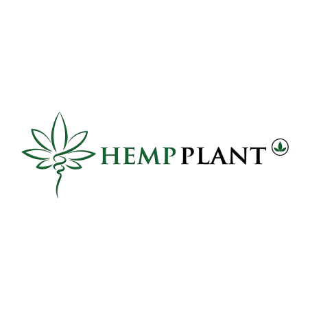 Hemp Plant