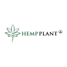 Hemp Plant
